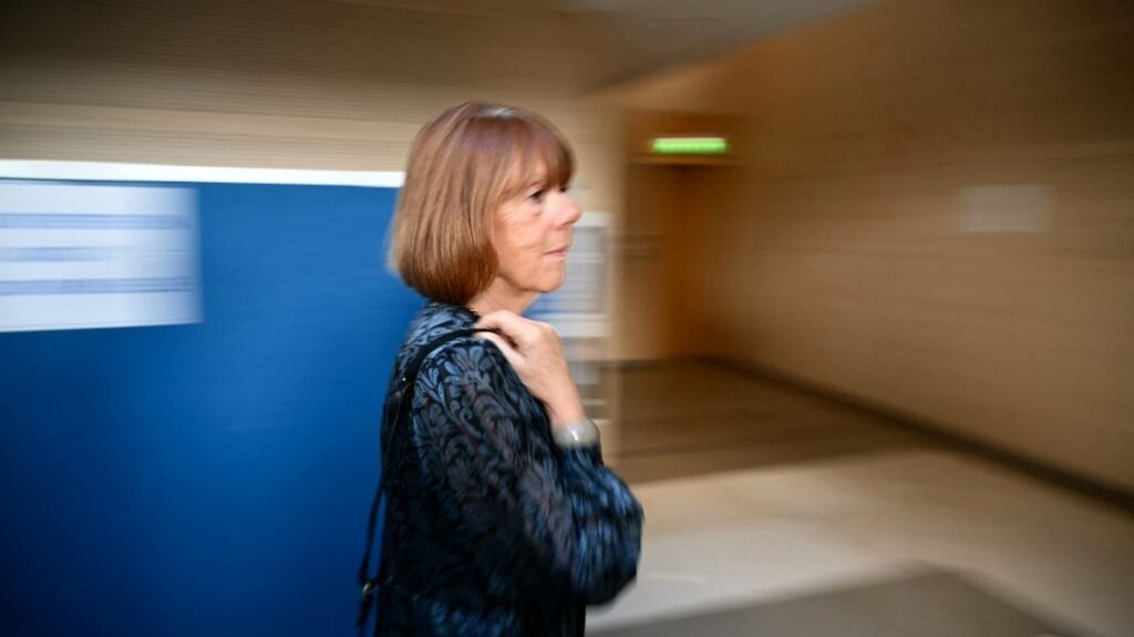 au procès des viols de Mazan, deux accusés attribuent les faits mais sans expliquer leurs actes