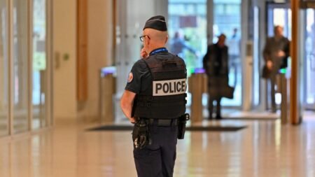 un créateur français de films d’animation jugés pour des centaines d’actes pédopornographiques commandités en ligne