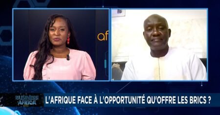 Sommet des BRICS : quelles opportunités pour l’Afrique ? (Affaires Afrique)