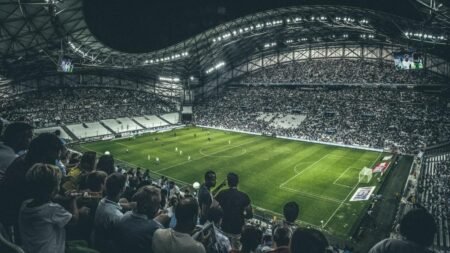 des chants homophobes dans les tribunes