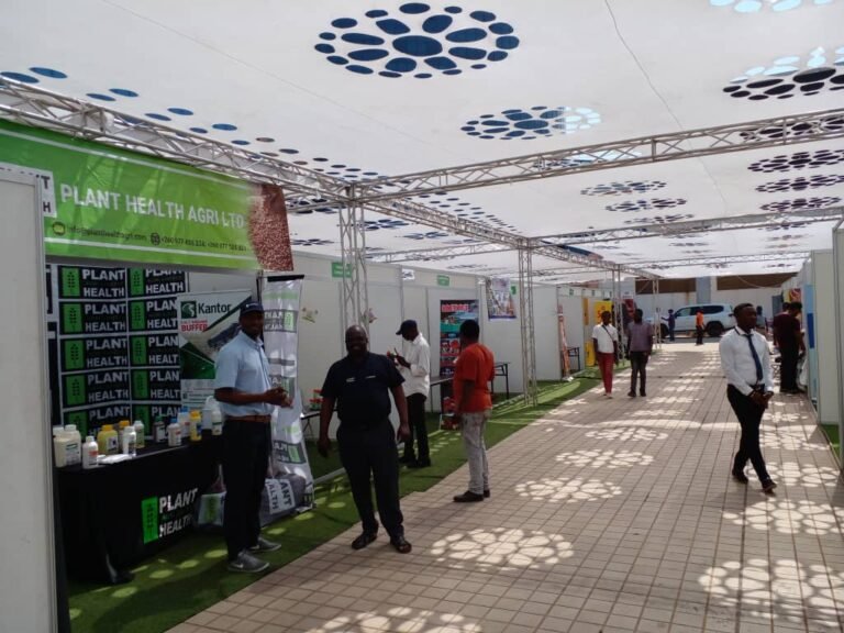 La Zambie ferme ses frontières à l’import-export avec la RDC