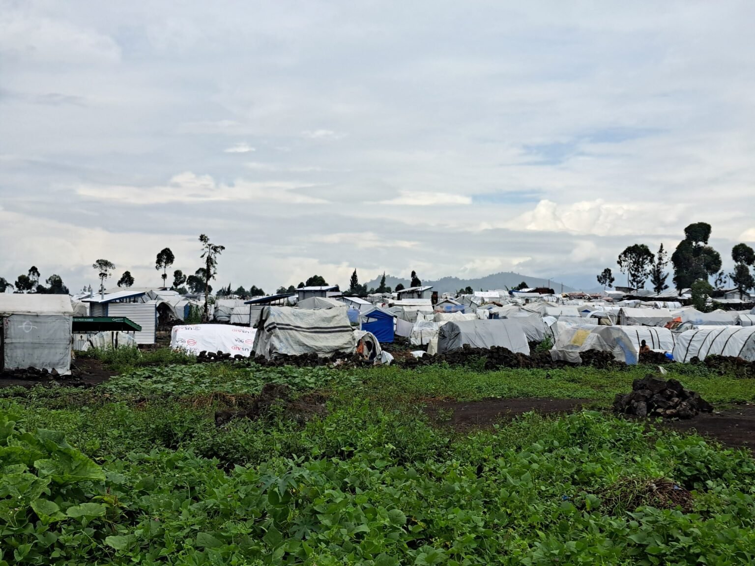 Nord-Kivu : la détresse psychologique des déplacés