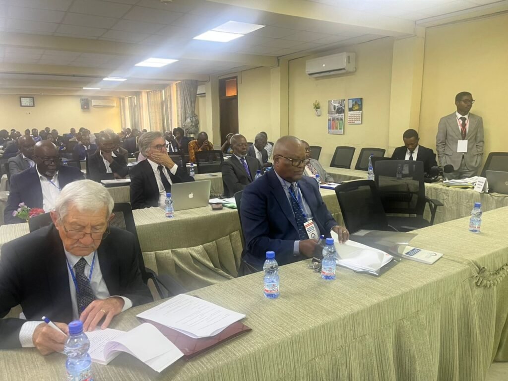 Pillages et violences dans l’Est de la RDC : le professeur Ndaywel appelle au rétablissement de « la vérité historique »