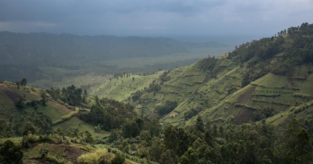 RD Congo. Protégés mais discriminés, les Pygmées sont chassés de leur propre écosystème