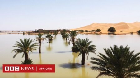 Sahara : images d’inondations rares dans le désert qui n’ont pas eu lieu depuis 50 ans