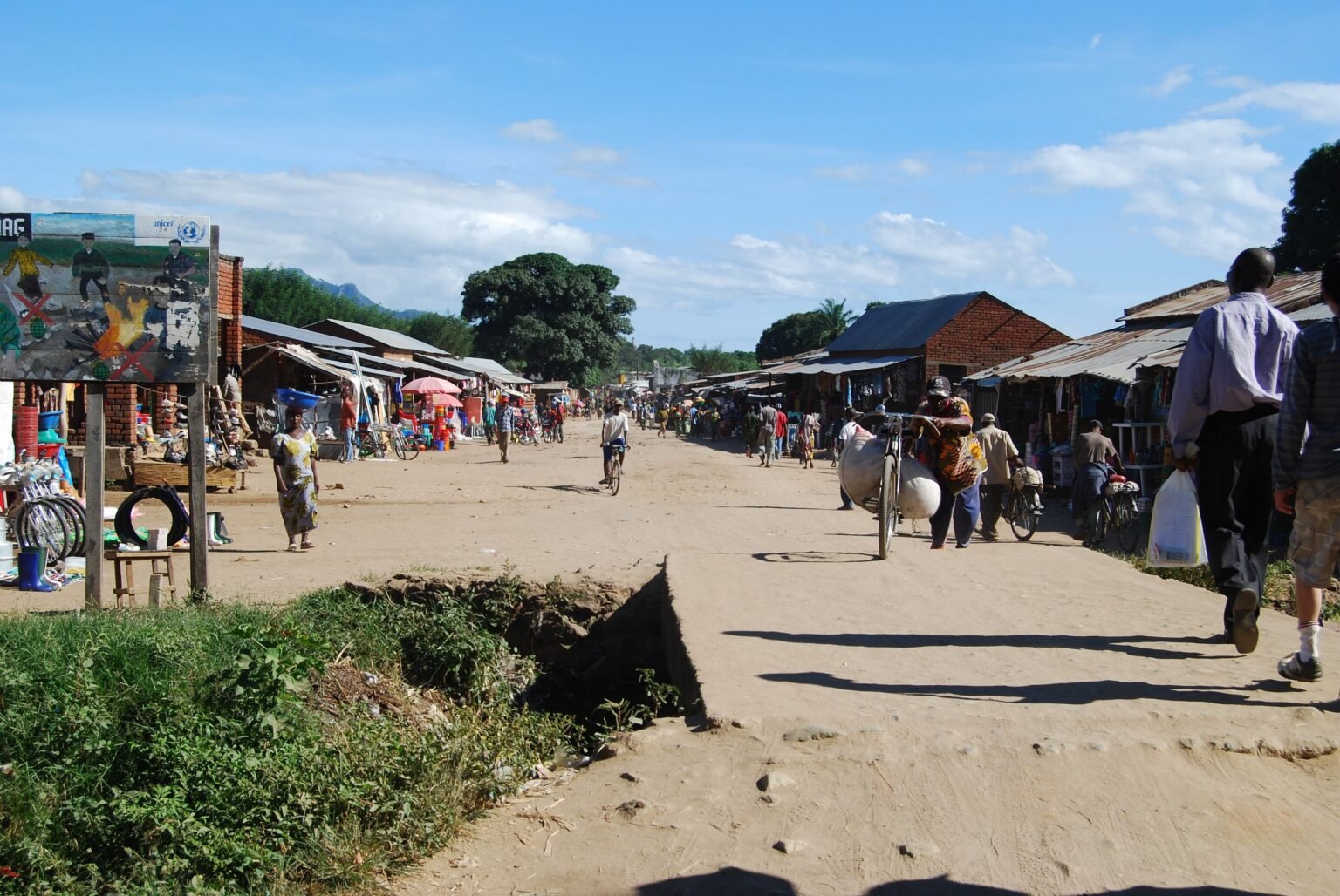 Prédominance de la transmission zoonotique du virus mpox en République démocratique du Congo