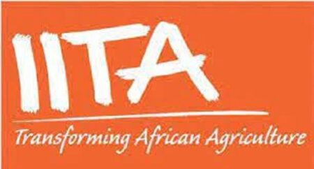 L’IITA recrute pour plusieurs postes (02 Février 2024)