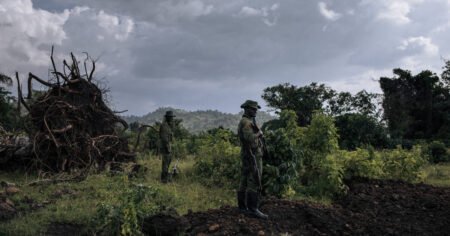 le combat de Bantu Lukambo pour sauver un paradis naturel malgré la guerre – Libération
