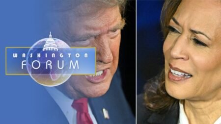 la diaspora africaine et la présidentielle américaine (2/2)