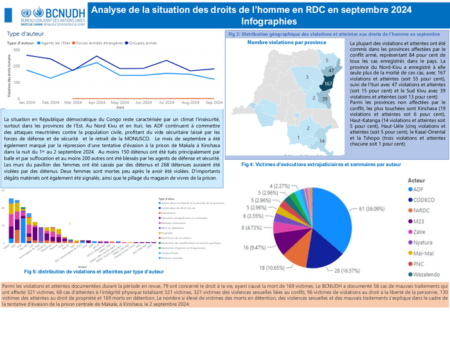 Analyse de la situation des droits de l’homme en RDC en septembre 2024 – Infographies – République Démocratique du Congo