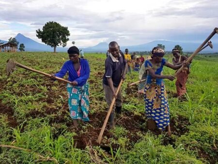 RDC : la 8ème édition du Festival AlimenTerre célèbre l’alimentation durable et promet l’agroécologie