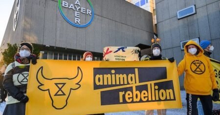 Arrêt inédit de la Cour de cassation d’Afrique du Sud contre Monsanto/Bayer et l’État