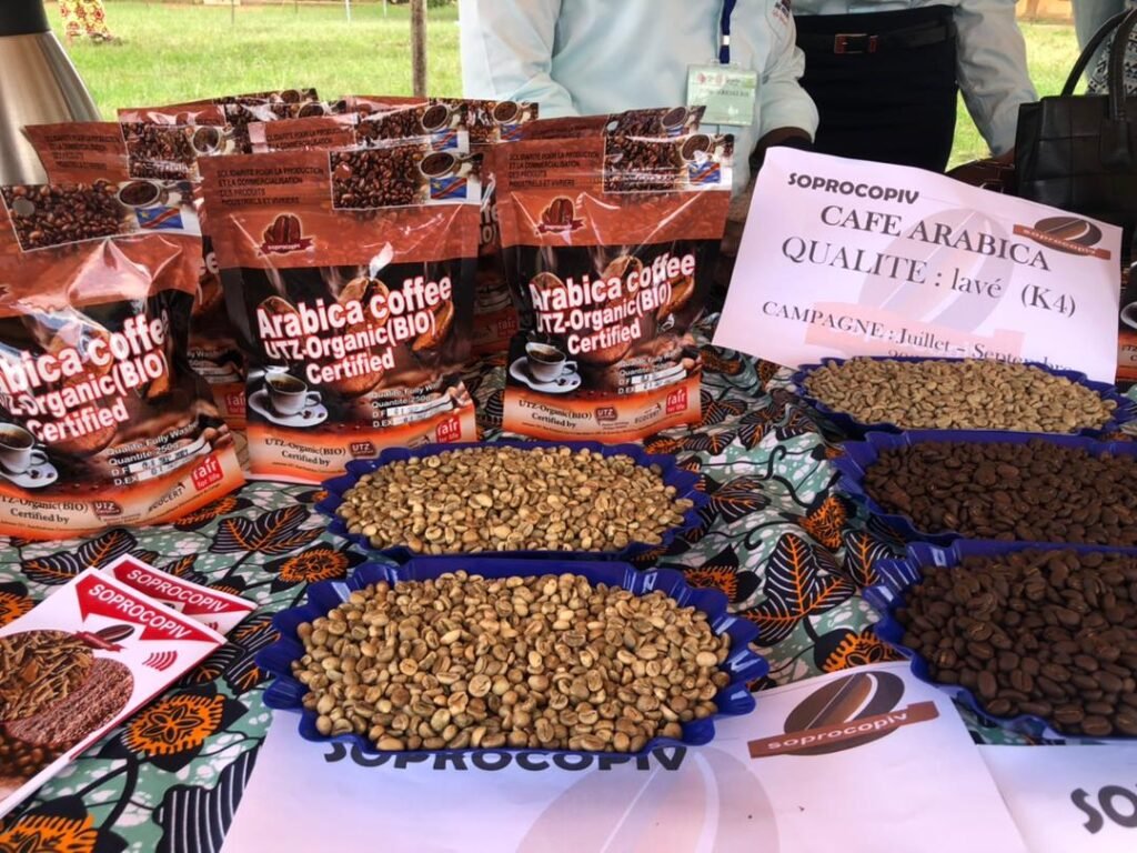 80% du café produit en Ituri échappe au circuit normal d’exportation (ONAPAC)