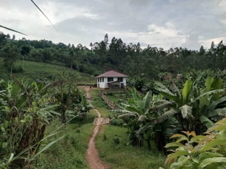 Hausse des cas de paludisme et d’anémie à Vulambo, dans le territoire de Beni