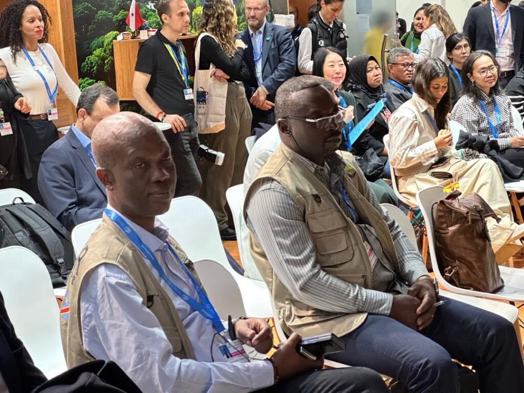 Cop 29 : « La RDC a vendu l’image réellement d’un pays solution » (Omer Kabasele)