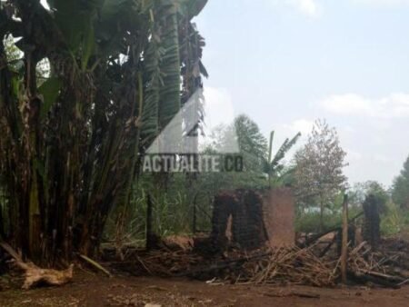 Ituri : un chef du village tué dans une attaque des ADF à Irumu