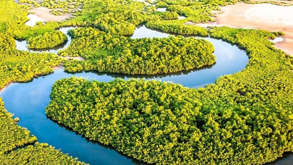 les îles du Saloum, un trésor caché du Sénégal