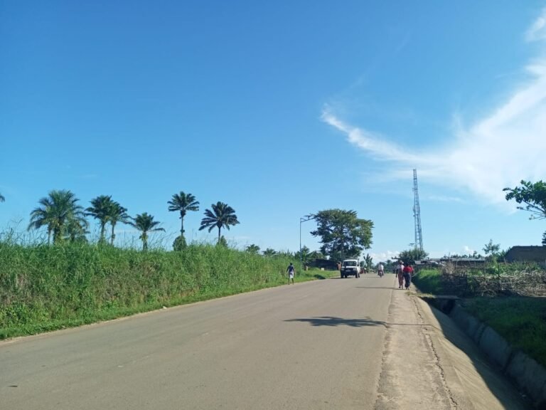 Trois morts à la suite d’un accident sur la route Beni-Oicha