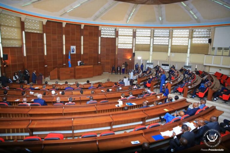 RDC: Le Gouvernement regrette les attaques contre les missions diplomatiques à kinshasa