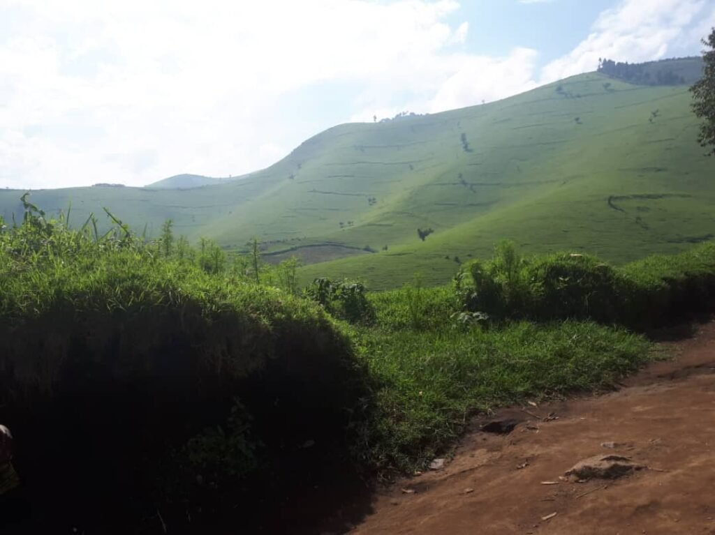 Des combats FARDC-M23 signalés sur plusieurs fronts de Masisi