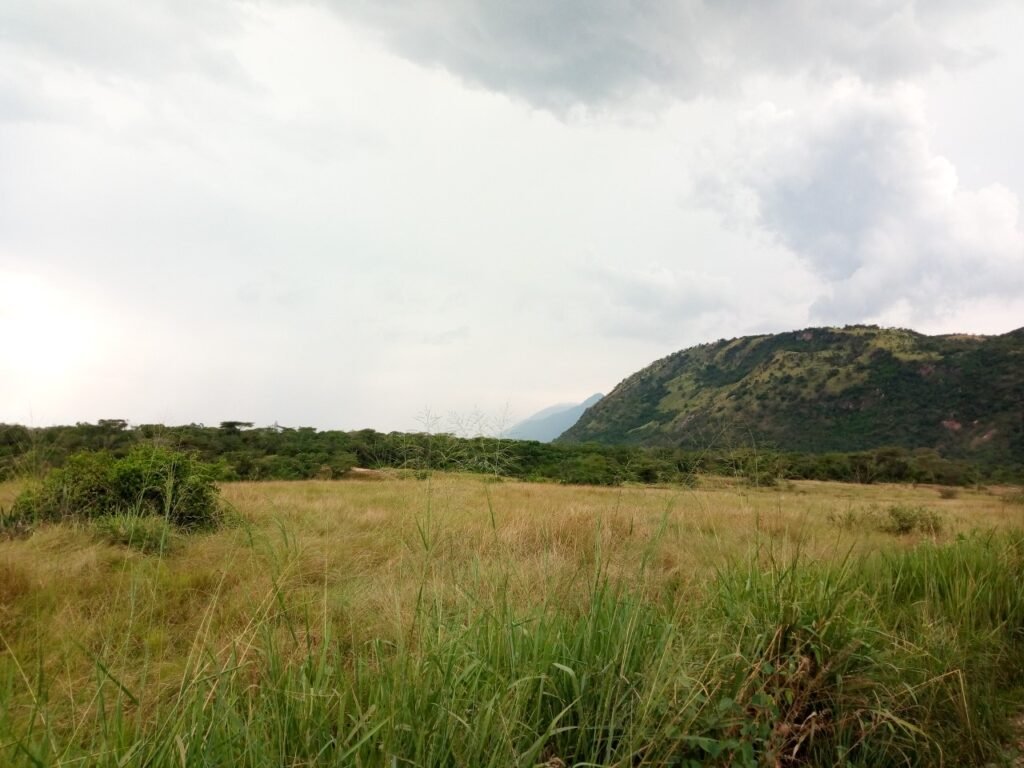 Nord-Kivu : 22 ONG dénoncent la spoliation de l’espace Nzulo dans le secteur sud du Parc des Virunga