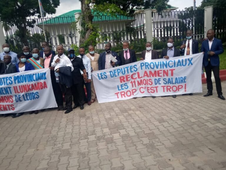 Le Collectif des députés provinciaux de la RDC appelle les Congolais à « faire échec aux agresseurs »