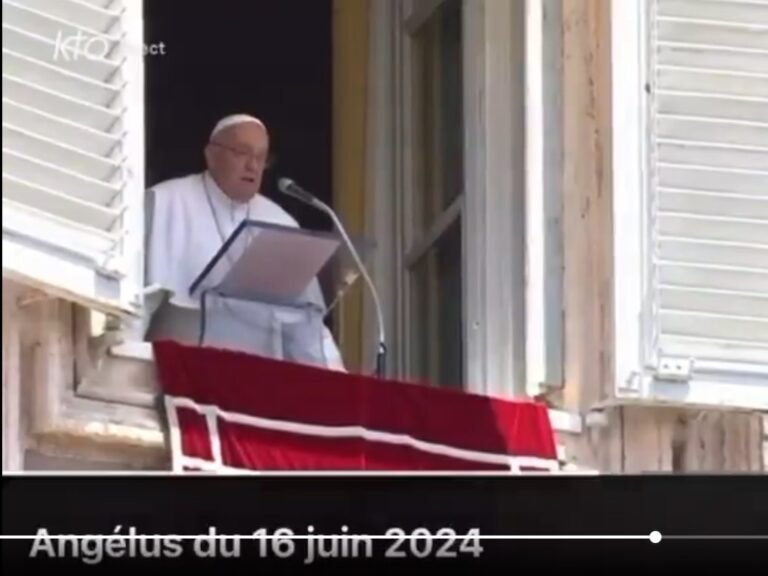 Guerre dans l’Est de la RDC : le pape François appelle les belligérants à déposer les armes