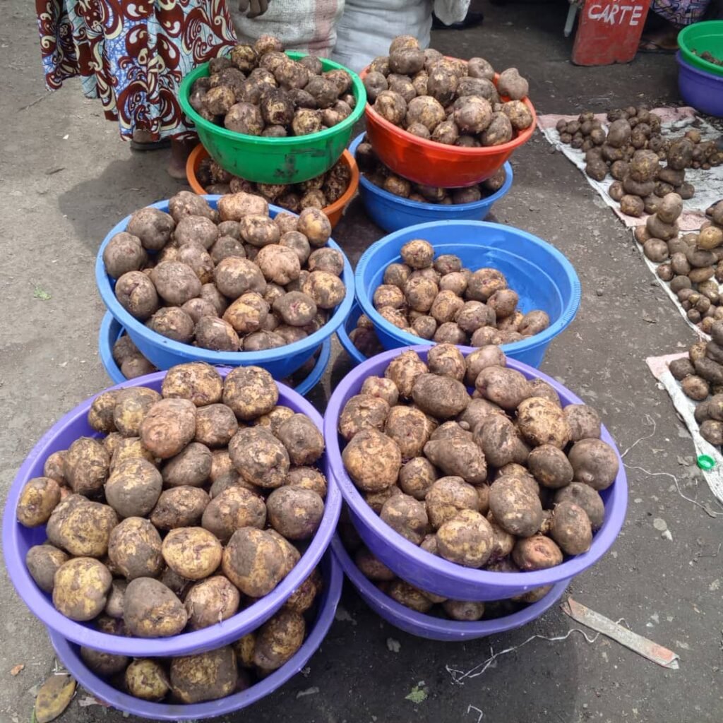 Le prix de pomme de terre et de haricot a presque doublé à Goma