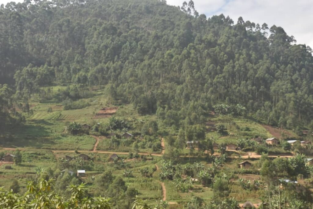 Combats M23 et FARDC : accalmie depuis 2 jours sur les lignes de front au sud de Lubero