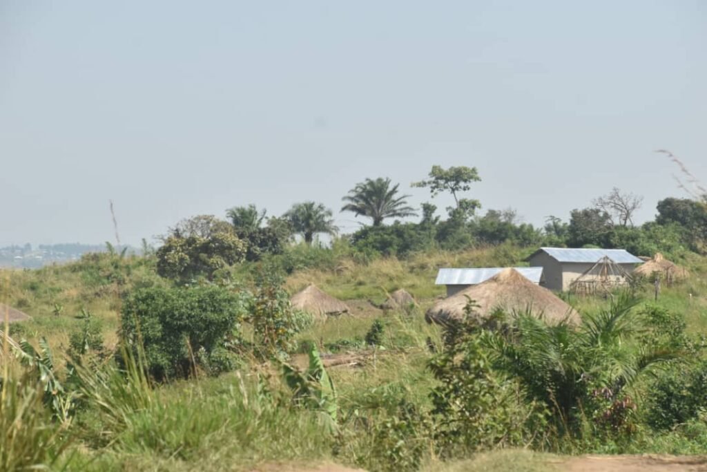 Une Vingaine de Personnes Massacrees par les adf à irumU (ituri)