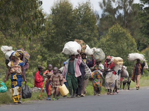 « Les populations sont éparpillées sur la route Sake-Goma », témoigne un habitant de Sake (Nord-Kivu)