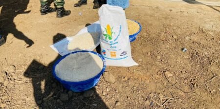 Kananga : stabilité du prix du maïs, la mesurette coûte entre 2 200 FC et 2 500 FC