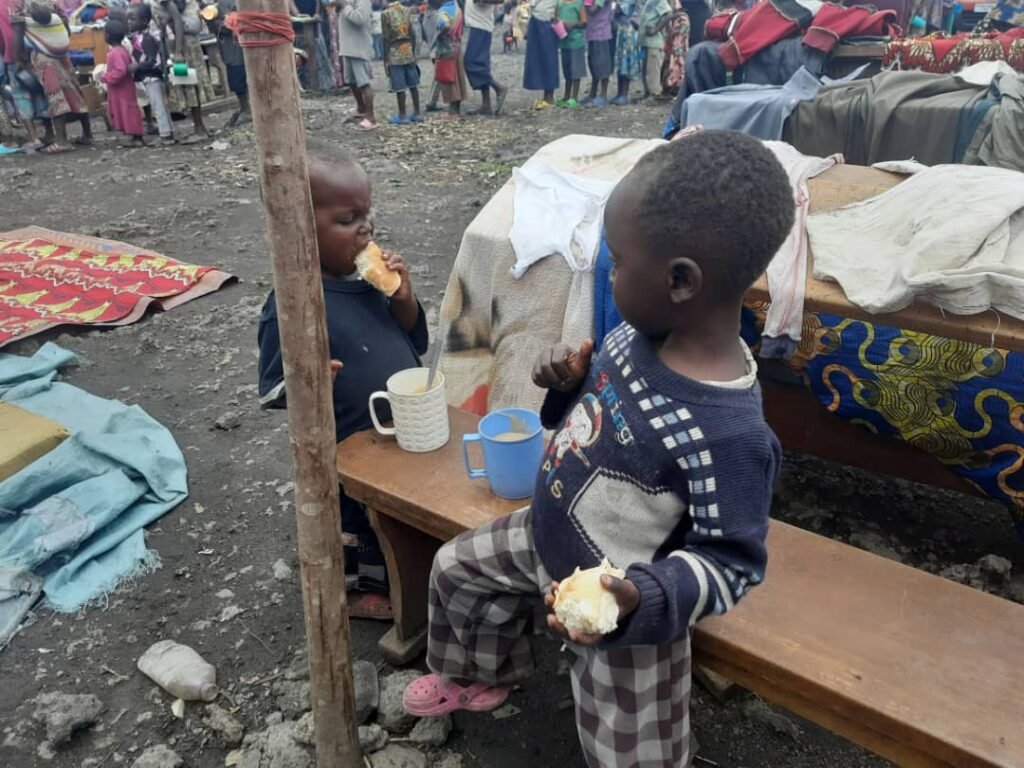 RDC: Plus de 48% d’Enfants de 0 à 5 ans touches par la malnutrition