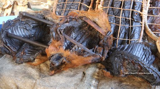 Risques Sansaniaires liés à la consommation de Viande Boucanée: Alerte aux populations Riveraines du Parc des Virunga