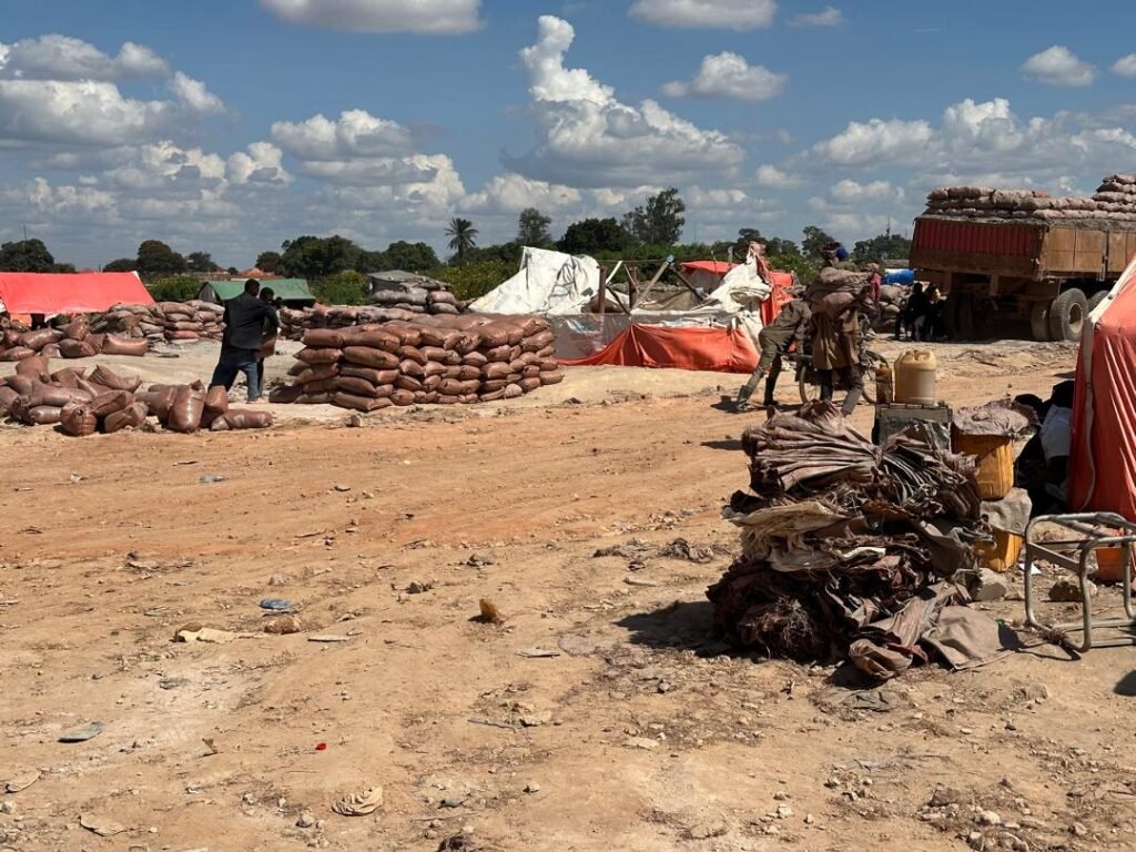 AU Moins Quatre Personnes TUEES PAR DES CREUSURS Artisanaux dans le site un site Minier à Kabare