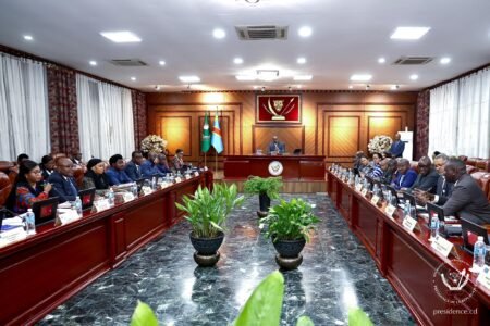 EcoNews : « Suspension des mandataires publics, Félix Tshisekedi met fin à l’arbitraire »