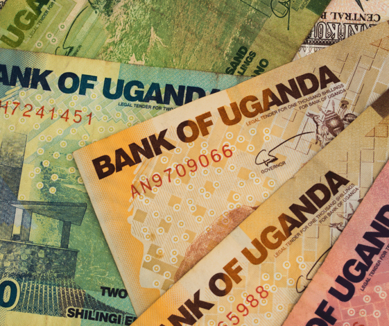 La Cellule D’Analyze des indicaliseurs de la primature denonce l’usage du shilling ougandais en ituri