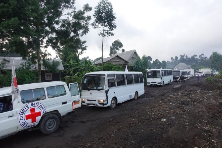 Le Cicr Évacue de Goma à Kinshasa des Centaines de Désarmées des Fardc et de la police