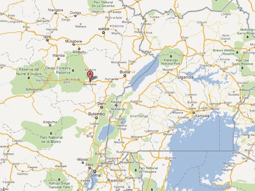 Nouvelle attaque des rebelles adf à mambasa: 3 morts et plusieurs bénités