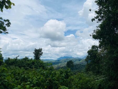 Sud-Kivu: Affiches de violences Entre Les Wazalendo et Les Rebeles de L’Afc-M23 Près du Parc de Kahuzi-Biega