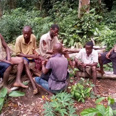 Kisangani: Sensibilisation sur le respect des Lois en Matière d’environnement