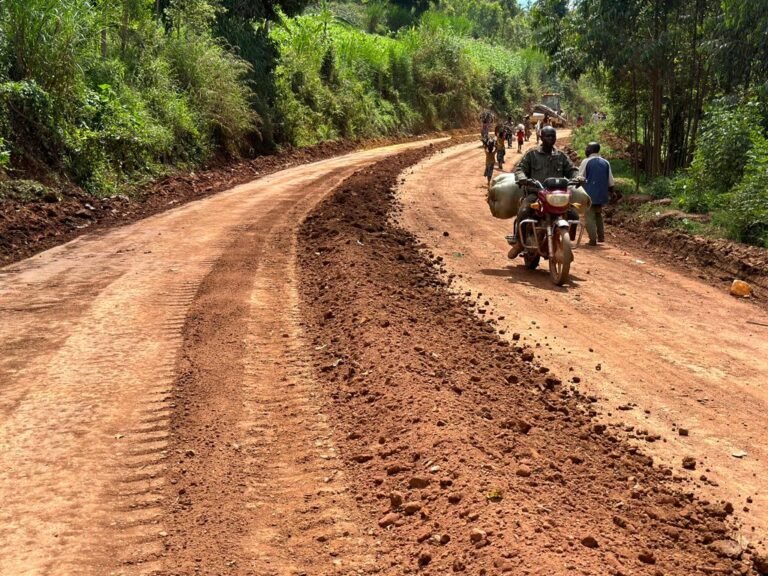 Djugu: près de 54 000 ÉLés