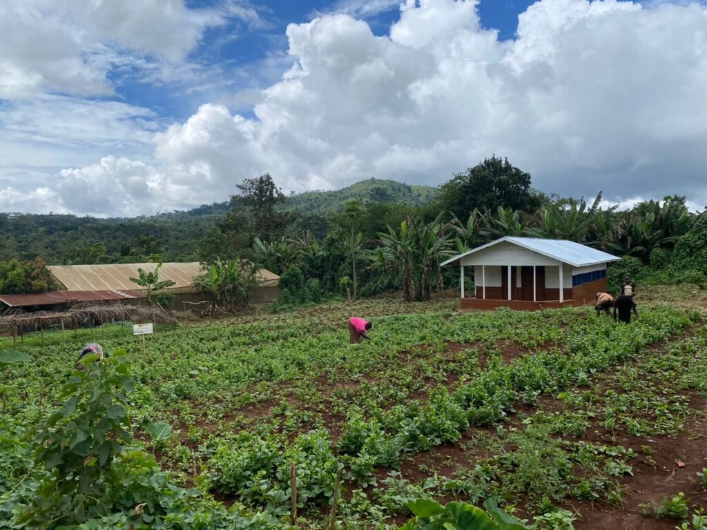 Croisse Économique: Le Gouvernational Congolais Mise sur le Seceneur Agricole
