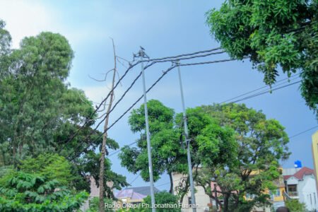 Mont-Ngafula : un vol de câbles électriques plonge l’Institut des Aveugles et un quartier entier dans le noir