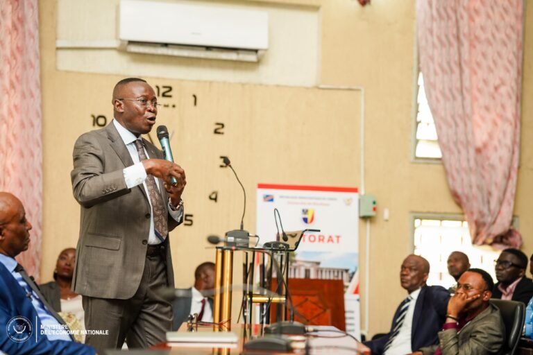 Daniel Mukoko Samba Plaide pour une industrialisation une industrialisation durable des mineraais stratégiques en rdc