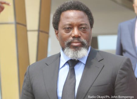 Levé des Immunités de Joseph Kabila, Analyze