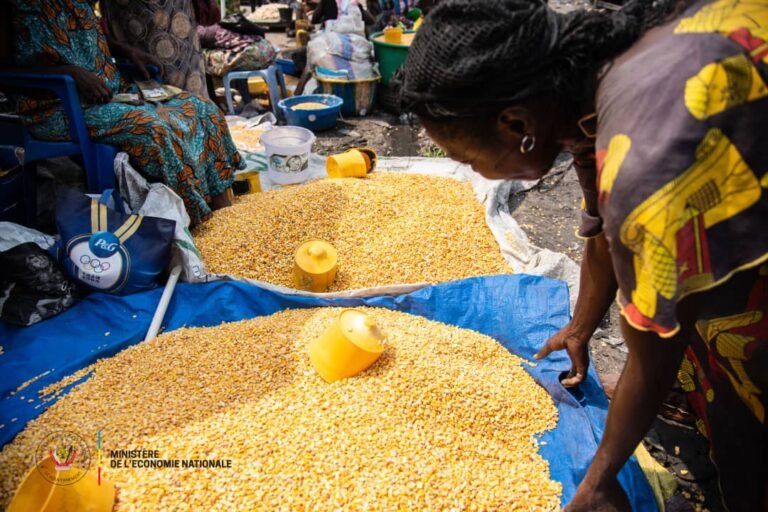 Le prix du sac de maïs de 100 Kg chute de 200 000 FC à 150 000 FC à Kinshasa
