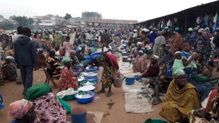 Ituri: Retoure Progressif des Habitants de Tchomia Grâce à L’Accalmie Sécuritaire