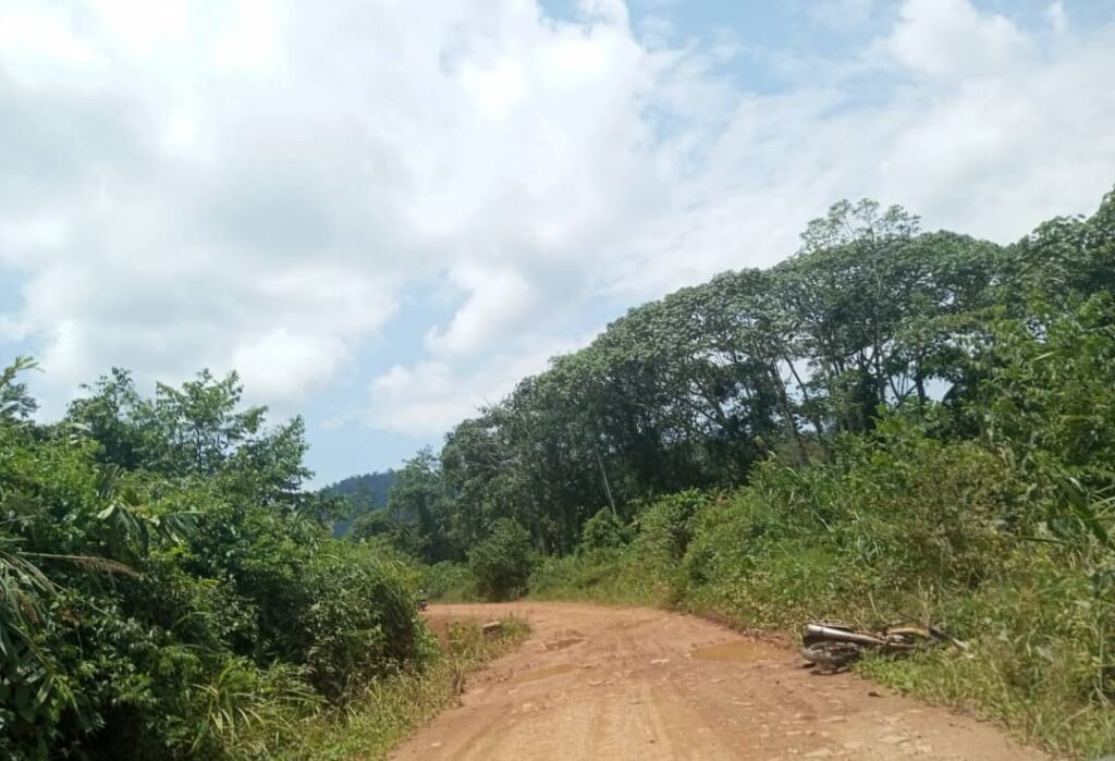 Retour progressif des agriculteurs entre Eringeti, Luna et Ndalya grâce à la sécurité restaurée