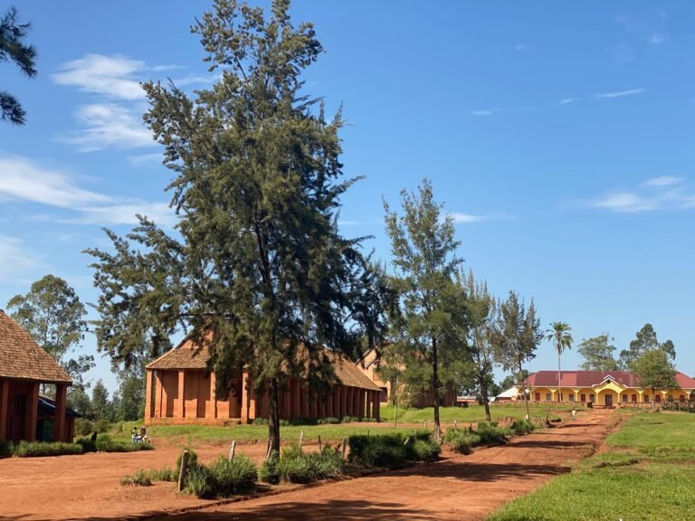 Les Communautés de l’ituri intiés à ŒUVRER pour la résolution pacifique des différences